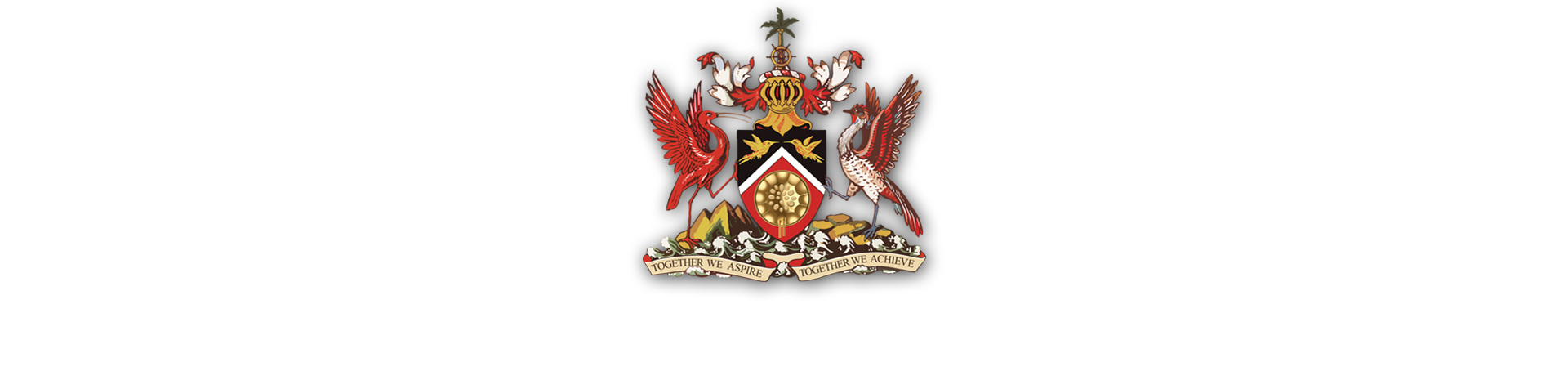 Sized%20-%20COA_0.png
